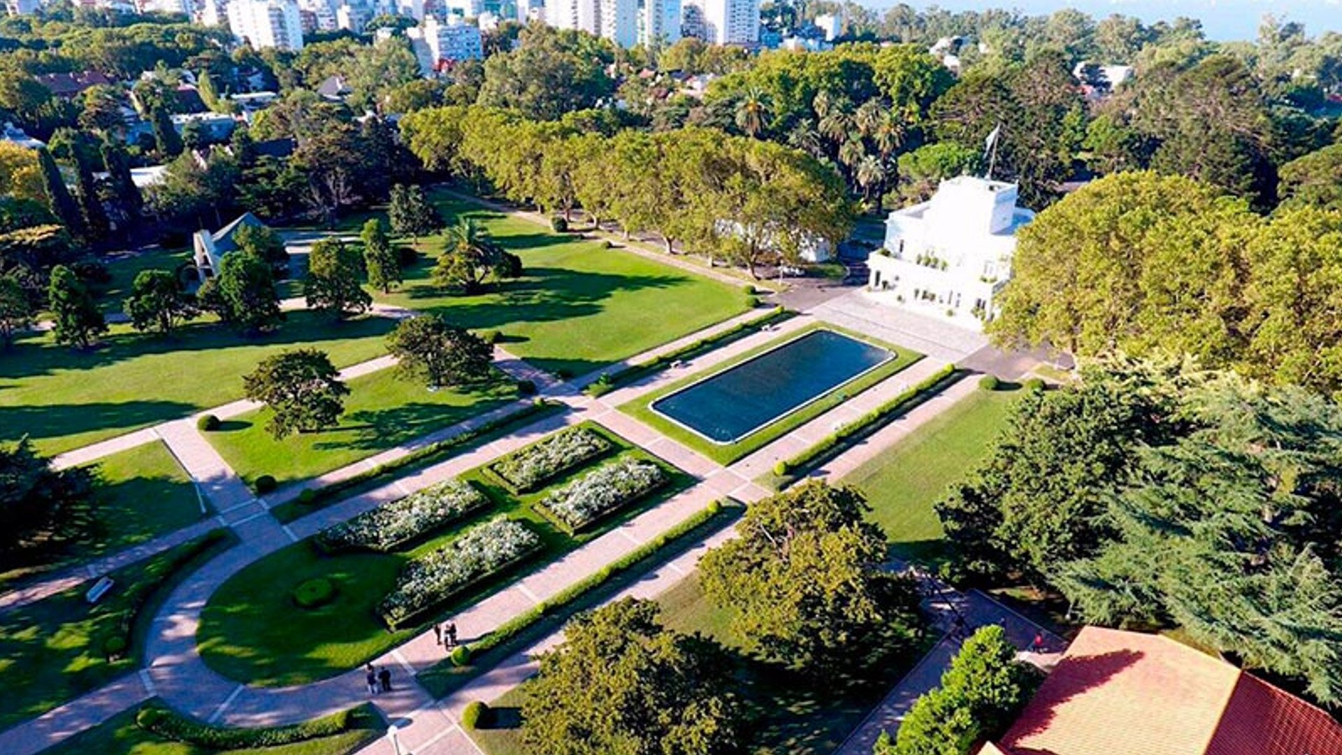 Estelares en la quinta de olivos