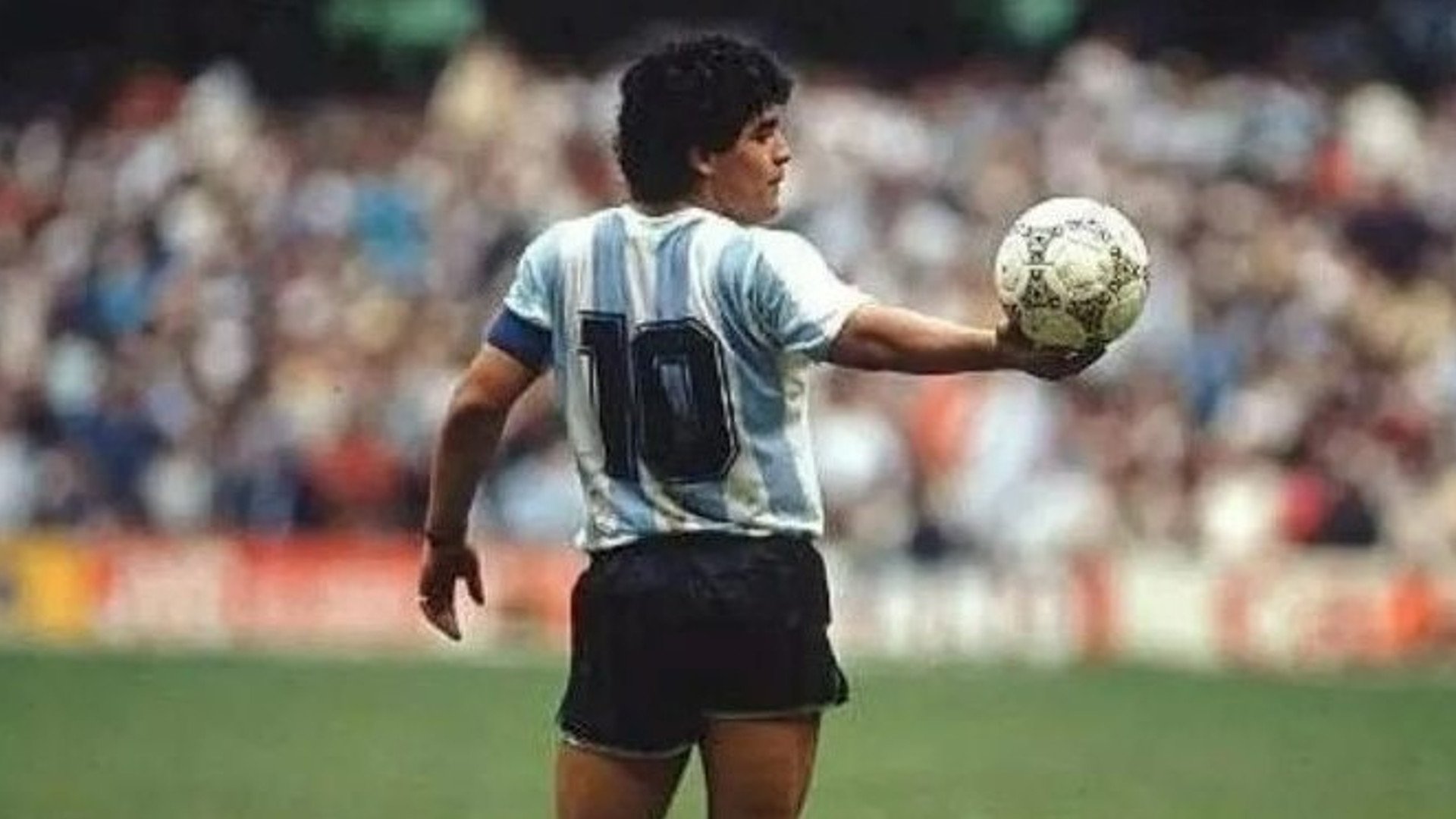 camiseta de diego armando maradona