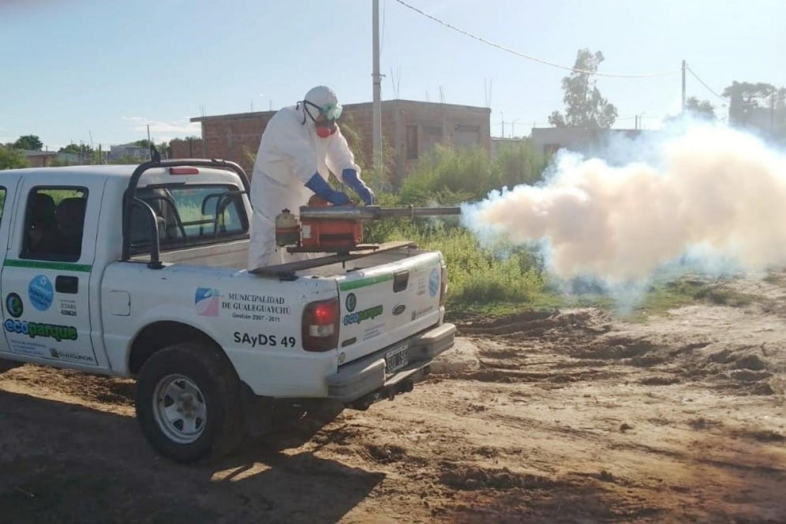 encefalitis de saint louis gualeguaychu