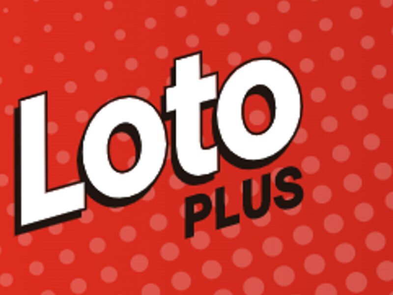 loto plus 3685 controlar boleta