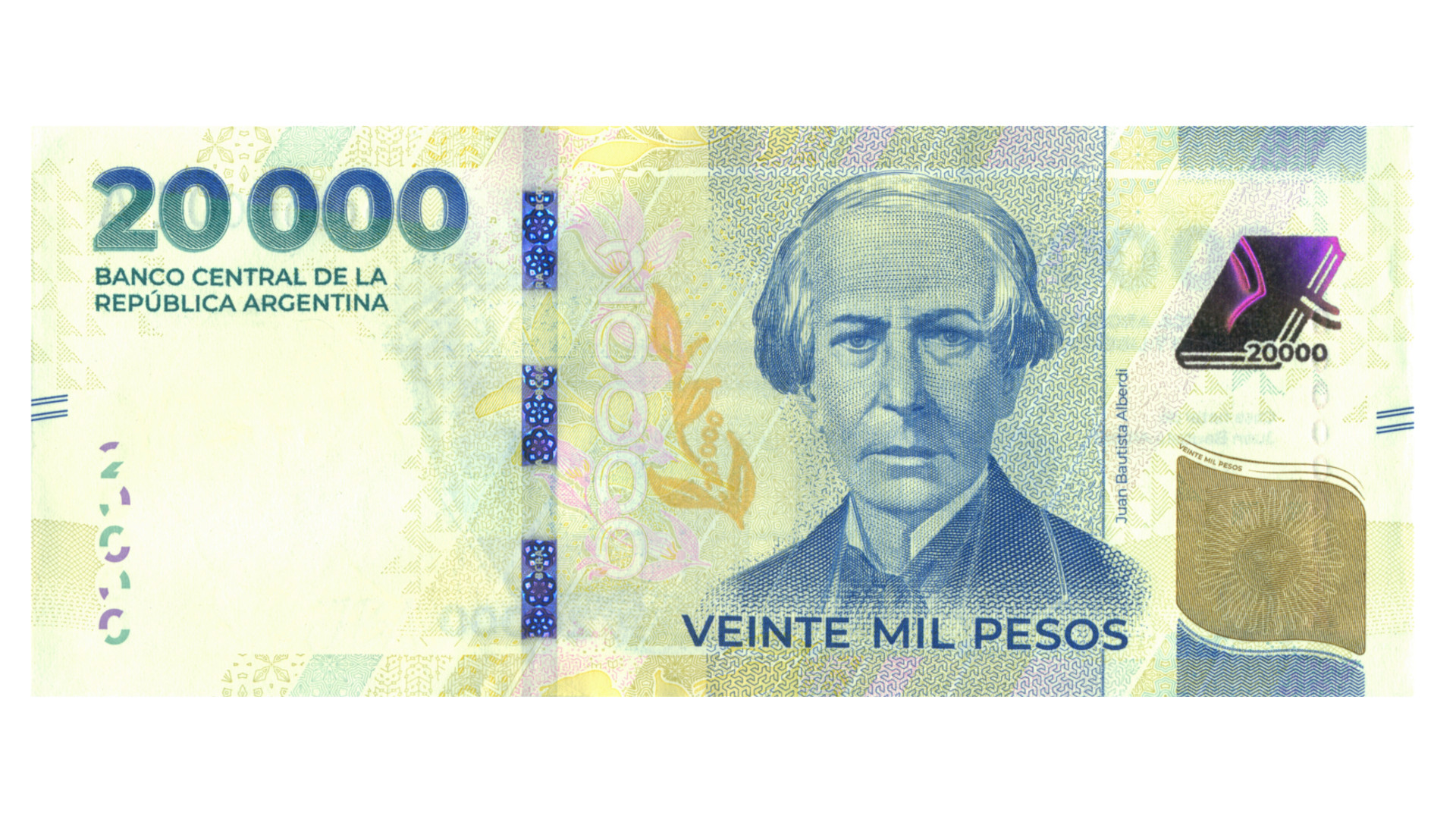 billete de 20000 pesos argentinos